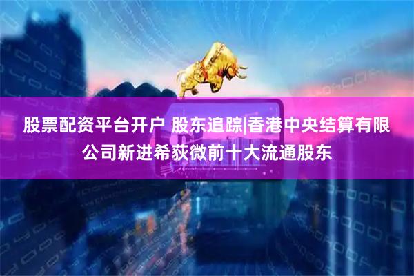 股票配资平台开户 股东追踪|香港中央结算有限公司新进希荻微前十大流通股东